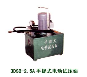 3DSB-2.5A手提式电动试压泵